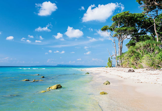 Andaman Beach