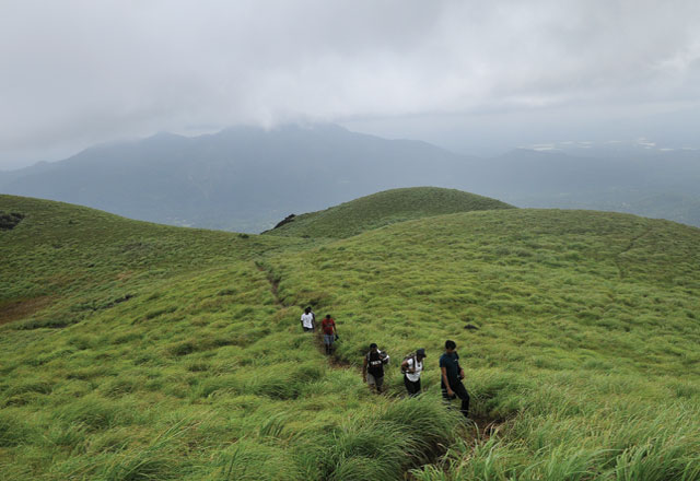 Chembra Peak Wayanad