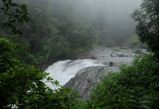 Wayanad 