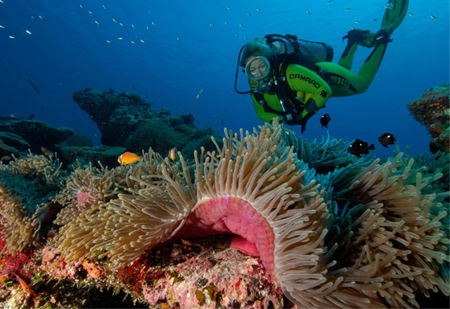 Scubadiving Bangaram