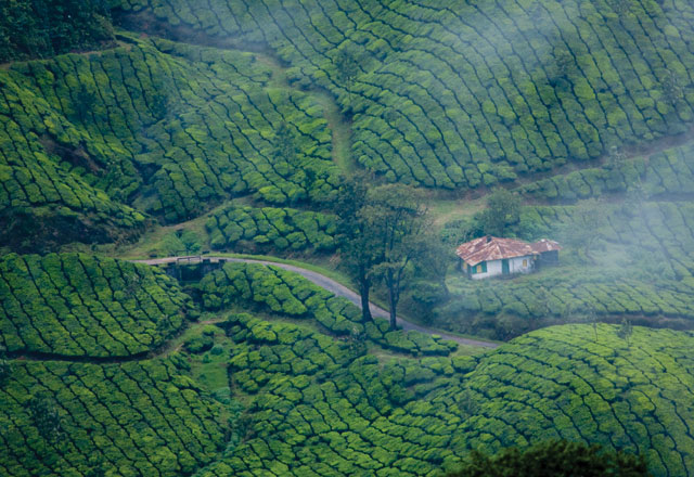 Wayanad Ghats